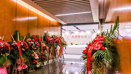 西西里传媒办公室综合布线及弱电系统工程